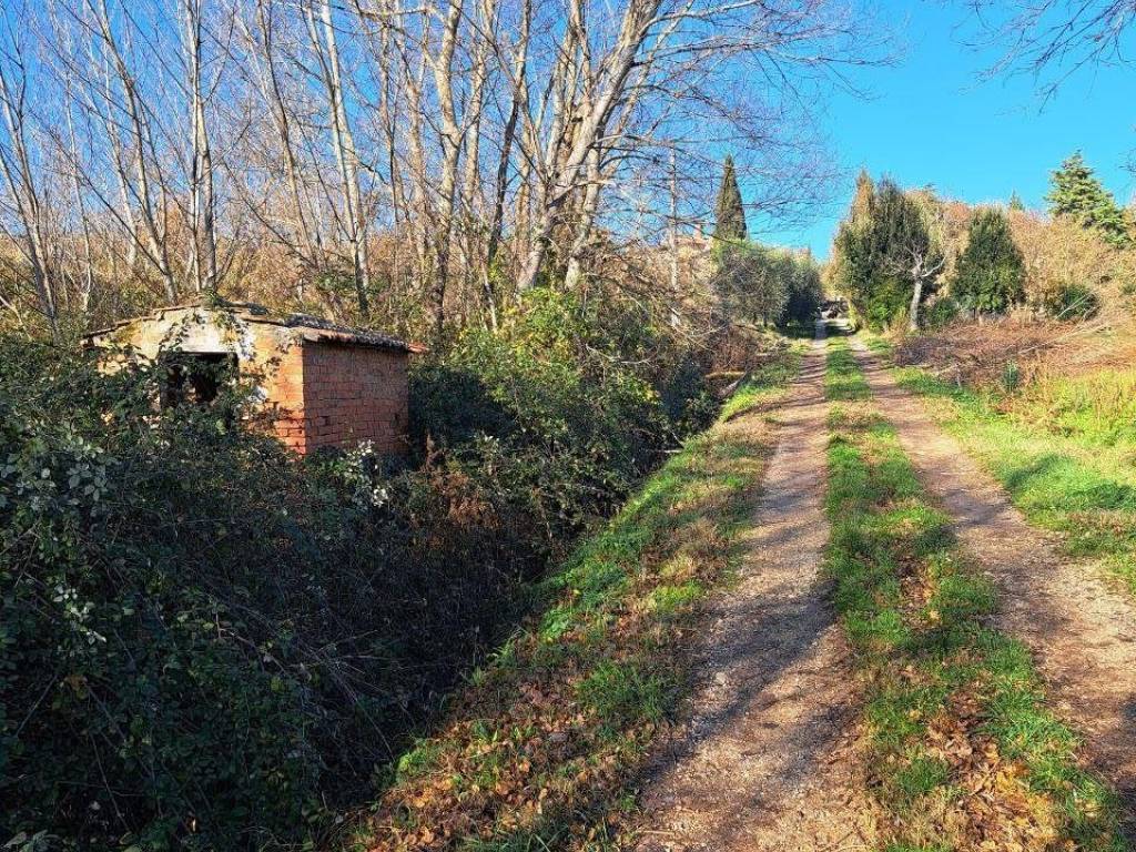 Terreno a Civitella in val di chiana - Foto 2