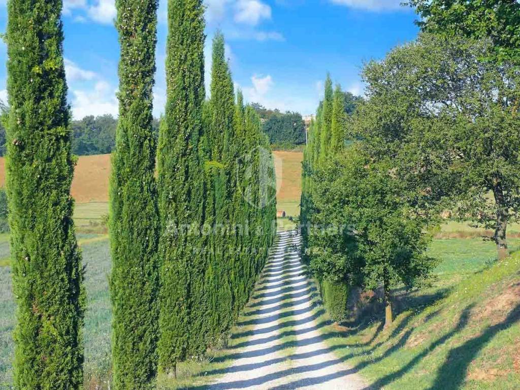 Villa a Castiglione del lago - Foto 3