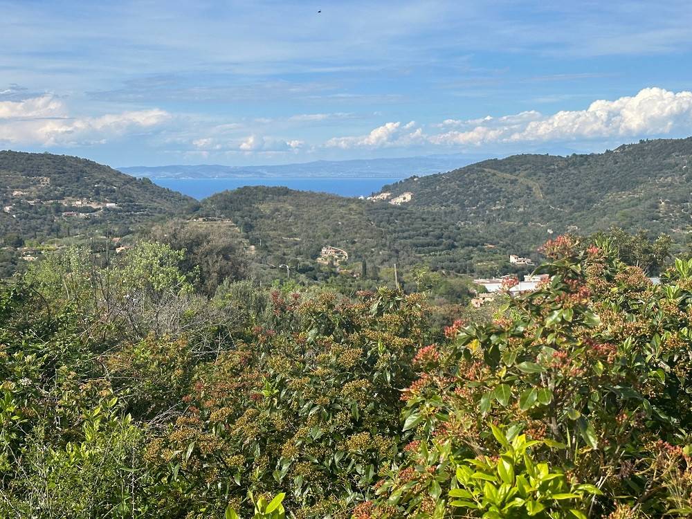 Rustico / casale a Monte argentario in Località San Pietro - Foto 3