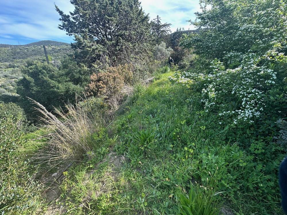 Rustico / casale a Monte argentario in Località San Pietro - Foto 4