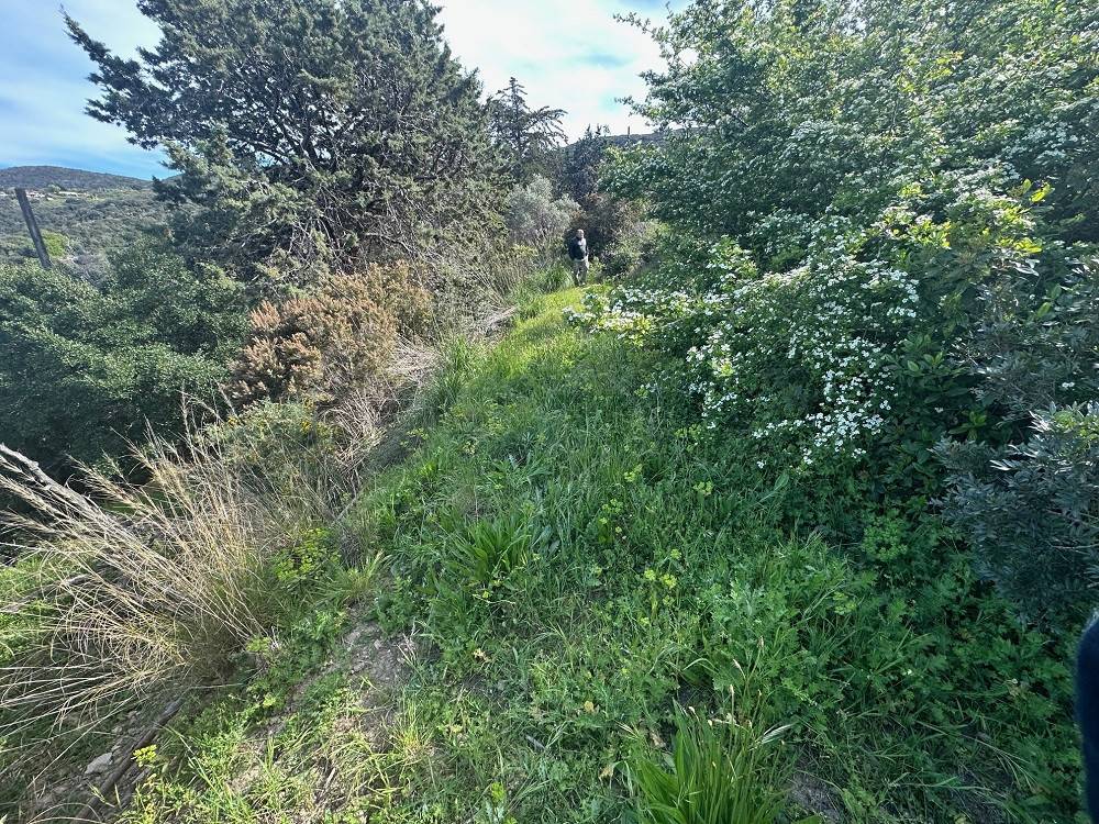 Rustico / casale a Monte argentario in Località San Pietro - Foto 5