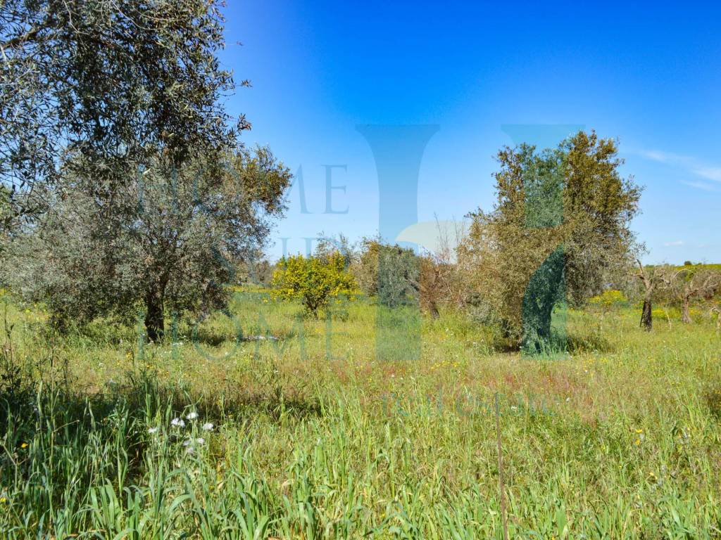 Rustico / casale a Ispica in Corso Vittorio Emanuele - Foto 5