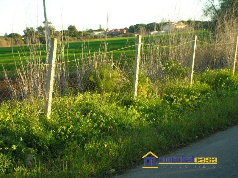 Terreno a Noto in san lorenzo - Foto 2