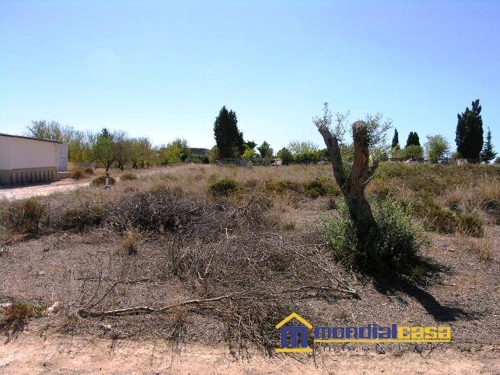 Terreno a Pachino in contrada Cozzi ( promontorio Marzamemi ) - Foto 2