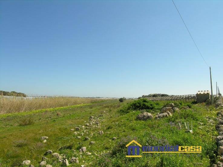 Terreno a Pachino - Foto 4