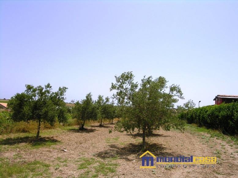 Terreno a Noto in Contrada Vignazza - Foto 3