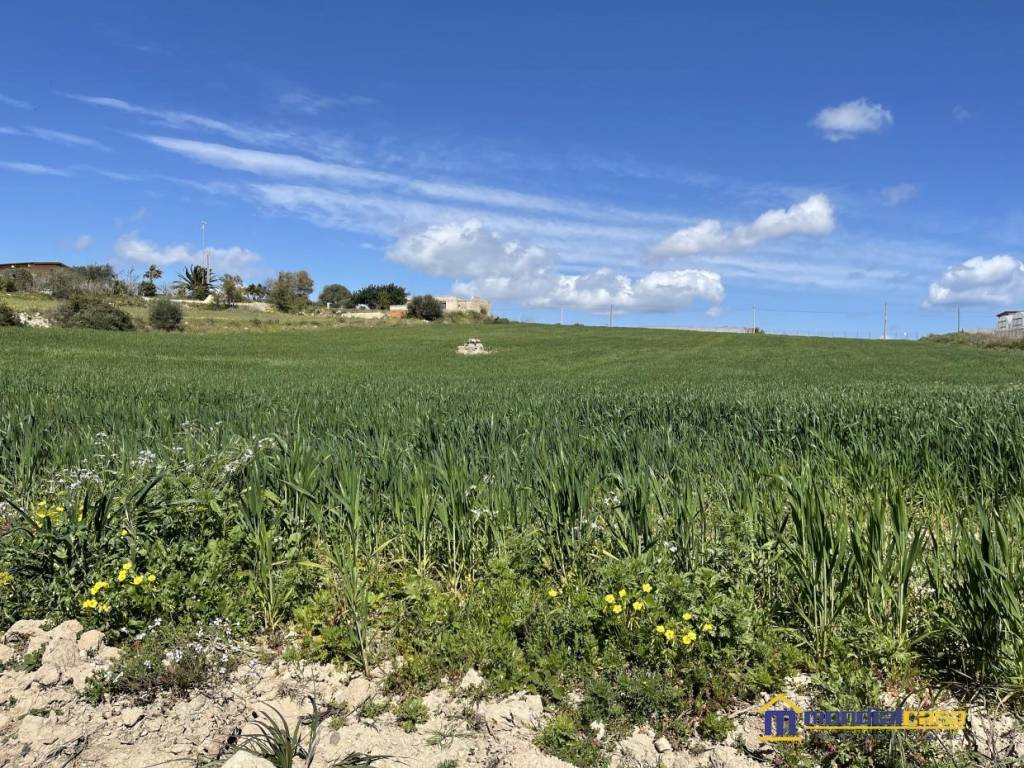 Terreno a Pachino in Cozzarrone Cozzo fico - Foto 3