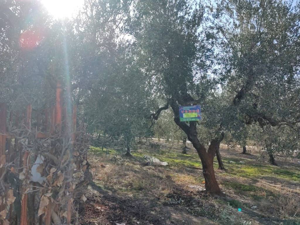 Terreno a Barletta in Via Maffeo Barberini - Foto 2