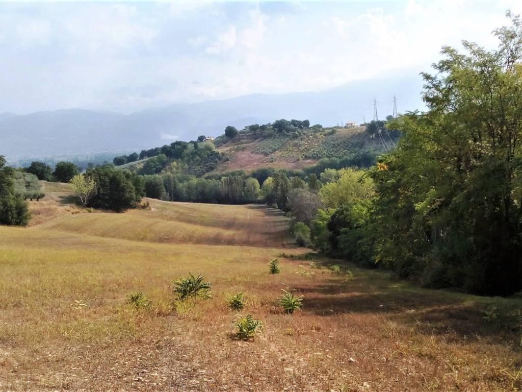 Terreno a Montefalco in Montefalco - Foto 2