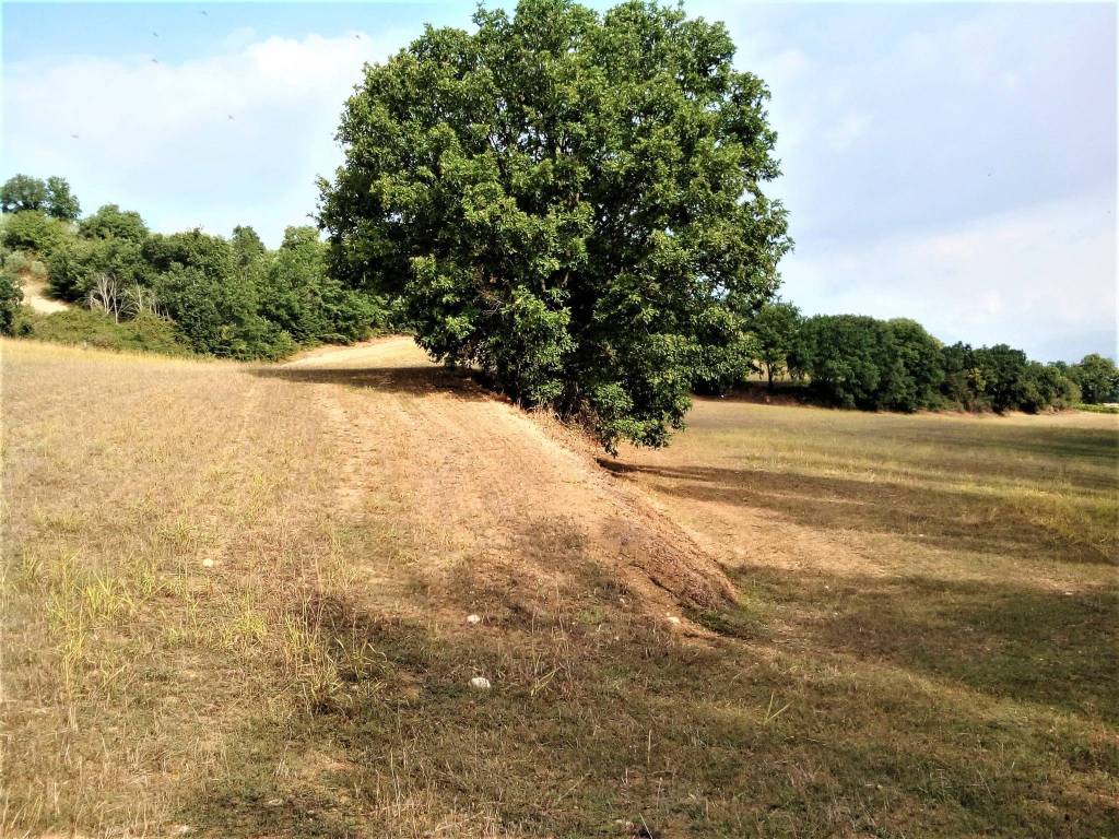 Terreno a Montefalco in Montefalco - Foto 3
