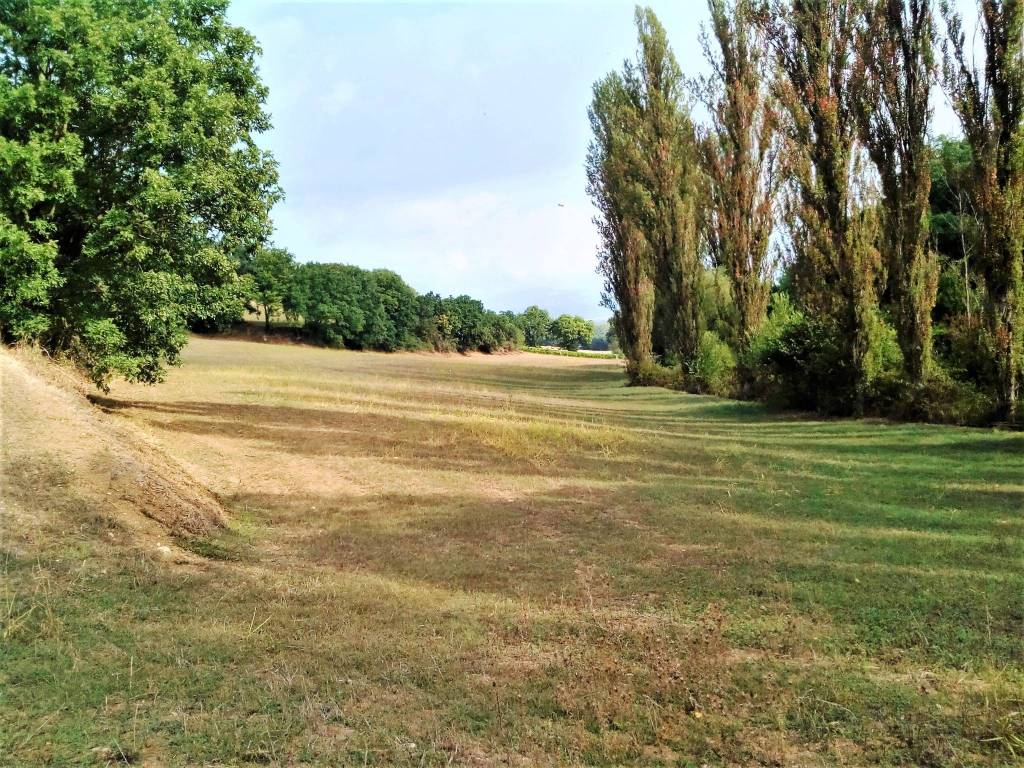 Terreno a Montefalco in Montefalco - Foto 4
