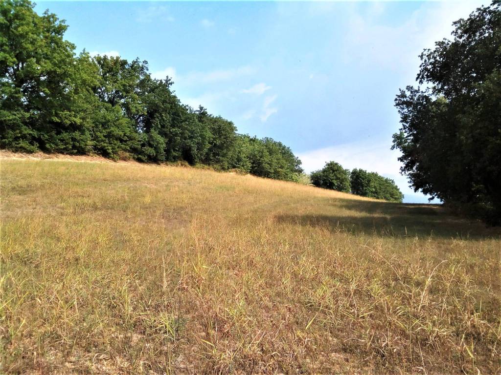 Terreno a Montefalco in Montefalco - Foto 5