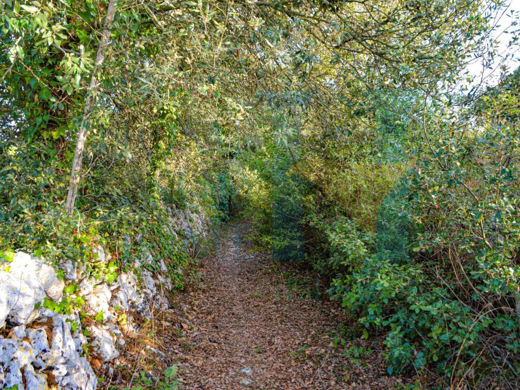 Rustico / casale a Noto in Via Tommaso Fazello - Foto 3