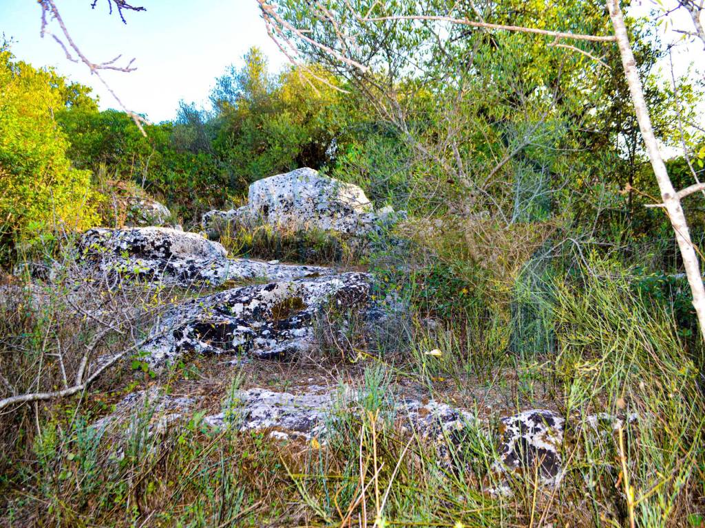 Rustico / casale a Noto in Via Tommaso Fazello - Foto 5