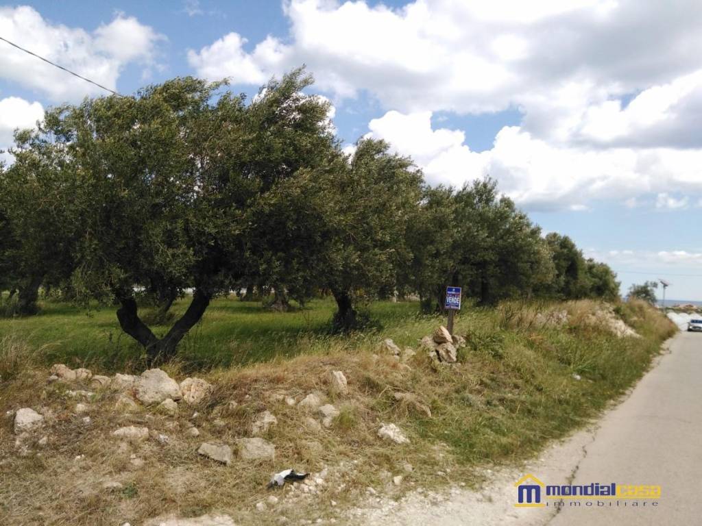 Terreno a Pachino - Foto 4