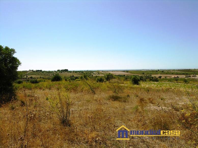 Terreno a Noto in c.da Buonivini - Foto 2