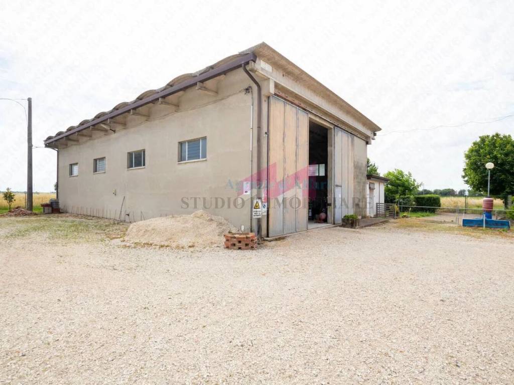 Immobile a Ceneselli in Via Calto - Foto 3