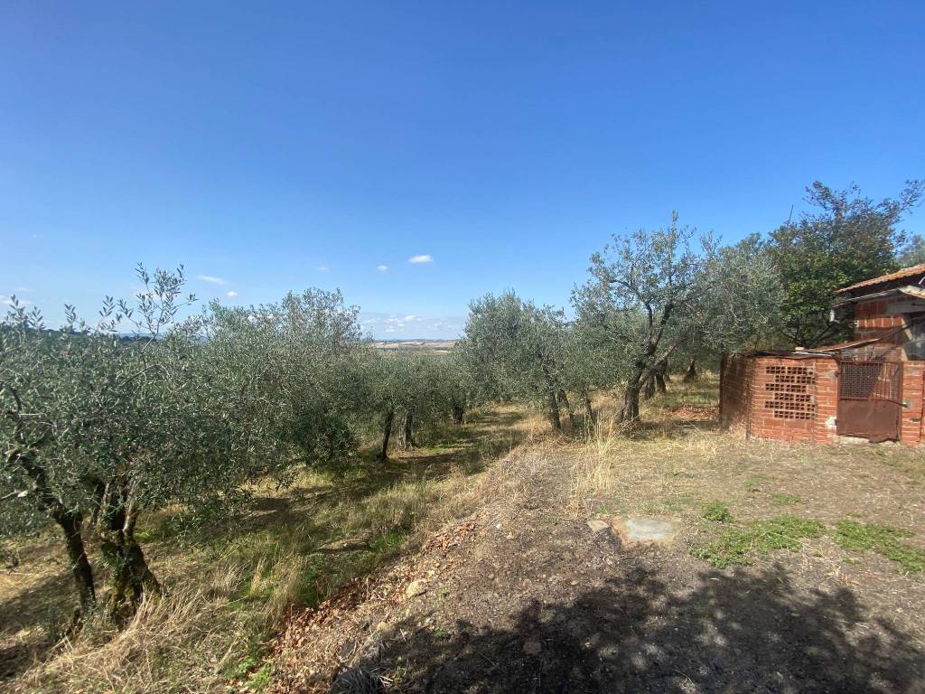 Rustico / casale a Panicale in Via Gioveto - Foto 3