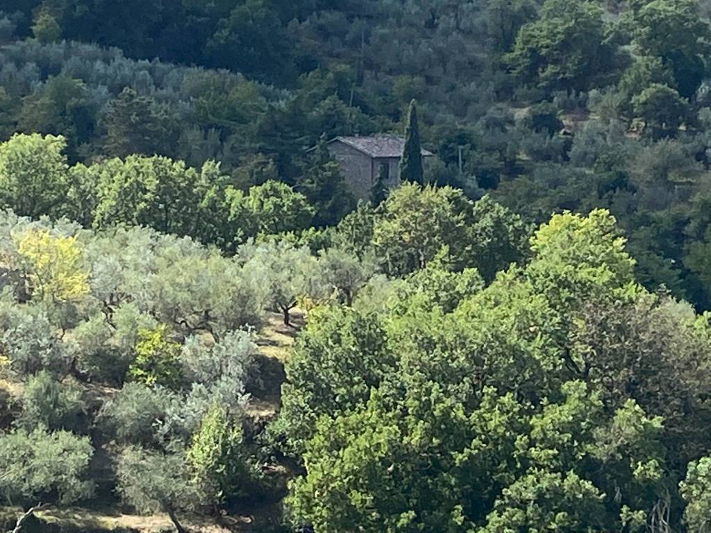 Rustico / casale a Panicale in Via Gioveto - Foto 4