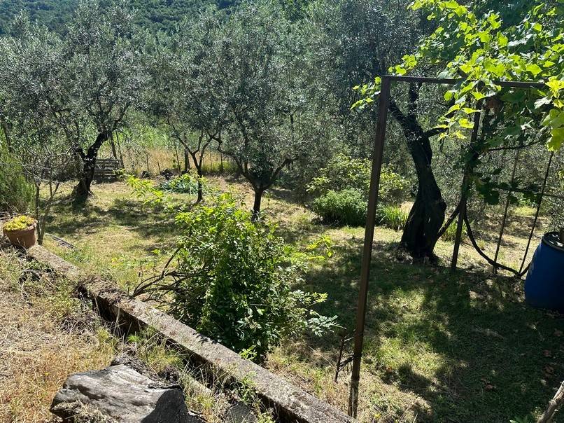 Terreno a Pistoia - Foto 2