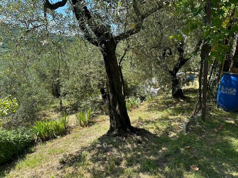 Terreno a Pistoia - Foto 3