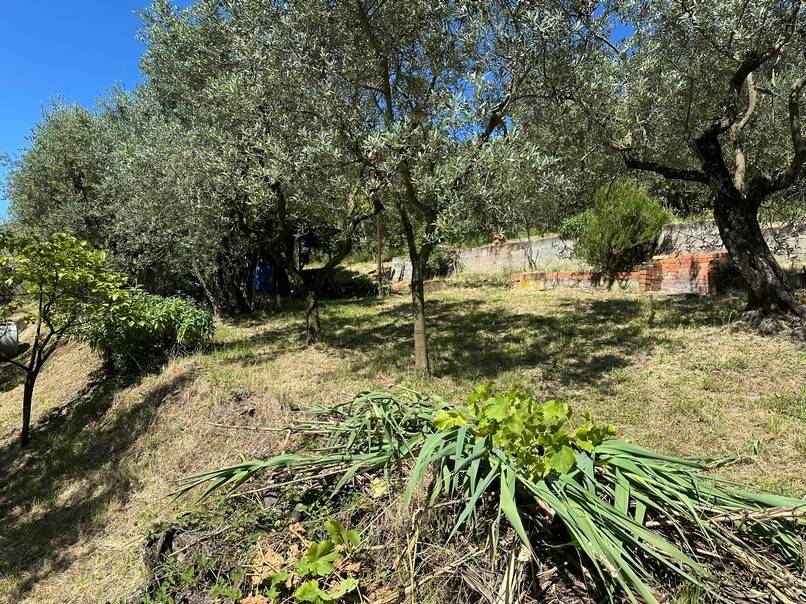 Terreno a Pistoia - Foto 4