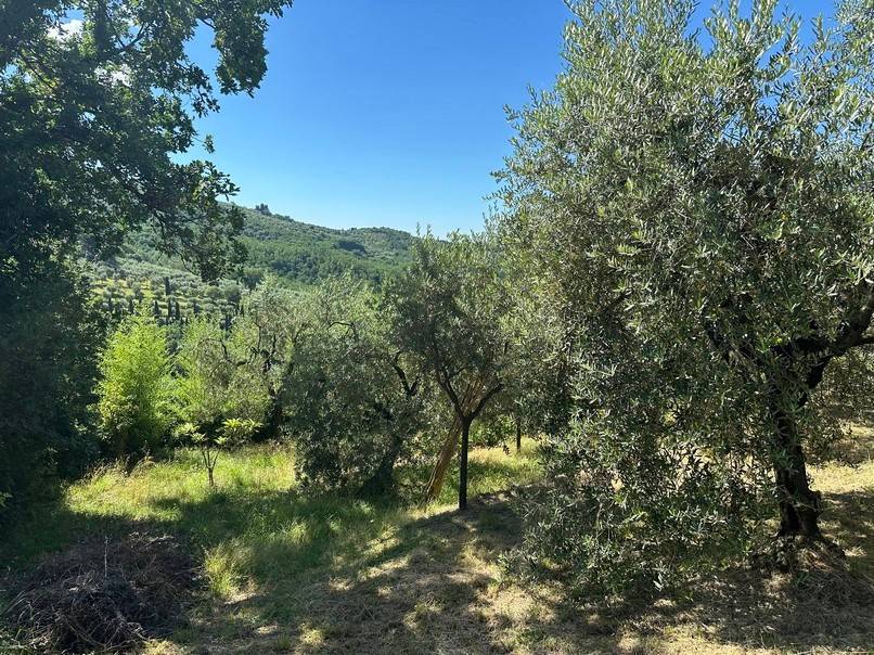 Terreno a Pistoia - Foto 5