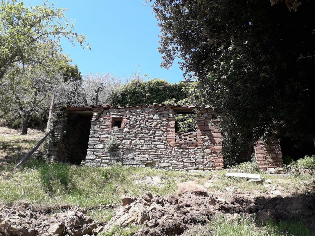 Rustico / casale a Amelia - Foto 2