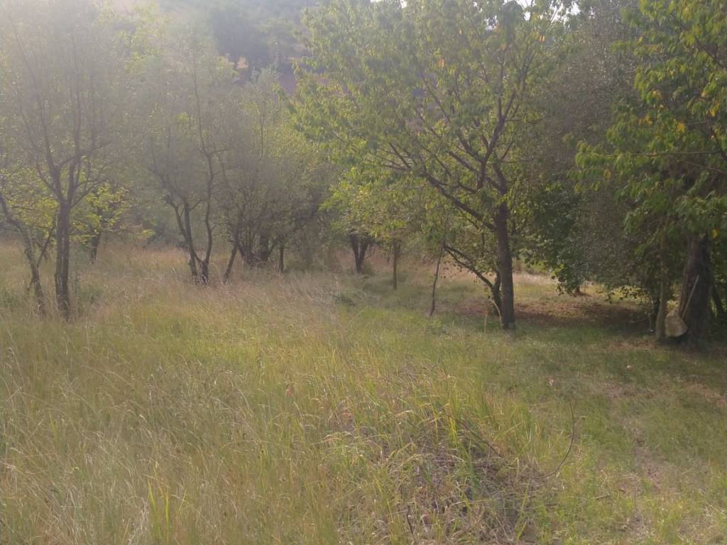 Rustico / casale a Amelia - Foto 3