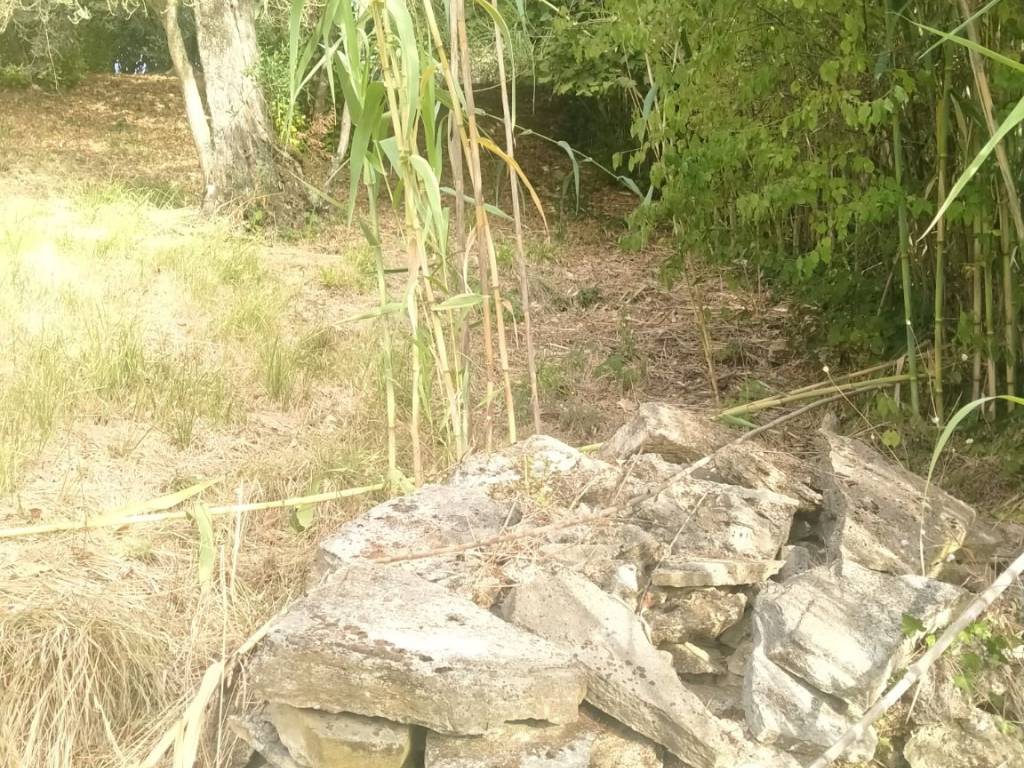 Rustico / casale a Amelia - Foto 5