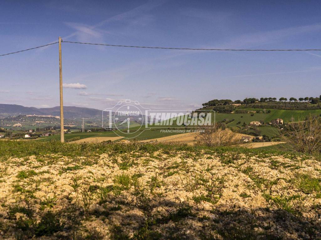 Terreno a Macerata in Contrada Collevario - Foto 3
