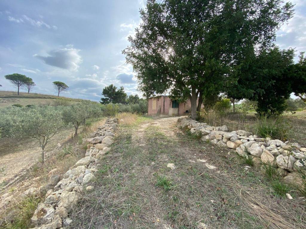 Terreno a Castelvetrano in Contrada Montagna s.n.c - Foto 3