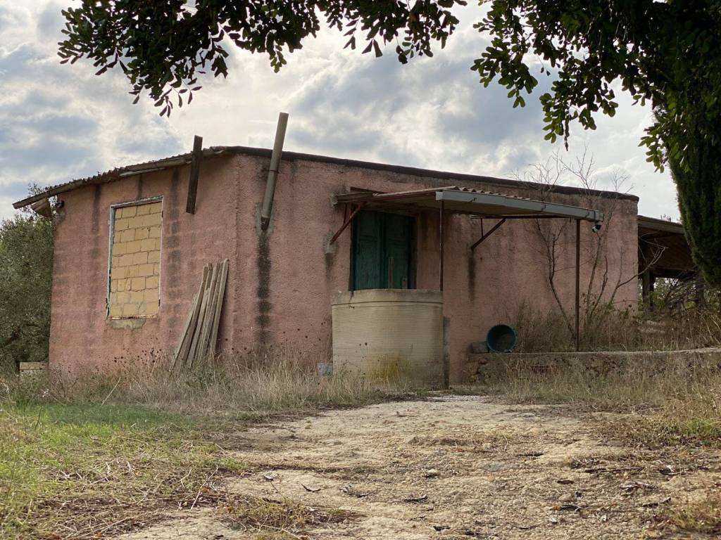 Terreno a Castelvetrano in Contrada Montagna s.n.c - Foto 4