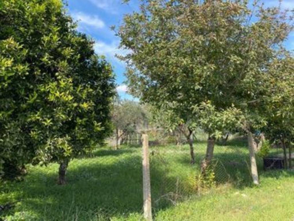 Terreno a Castelvetrano in Via G. Natalino Sapegno s.n.c - Foto 4