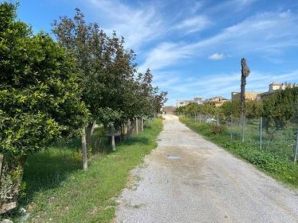 Terreno a Castelvetrano in Via G. Natalino Sapegno s.n.c - Foto 5