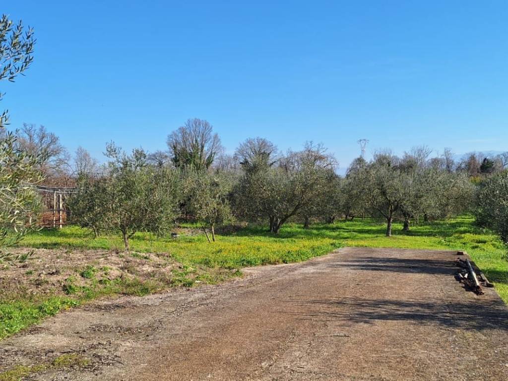 Terreno a Aprilia in Via Giambattista Morgagni - Foto 2