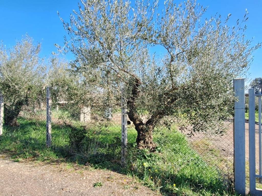 Terreno a Aprilia in Via Giambattista Morgagni - Foto 3