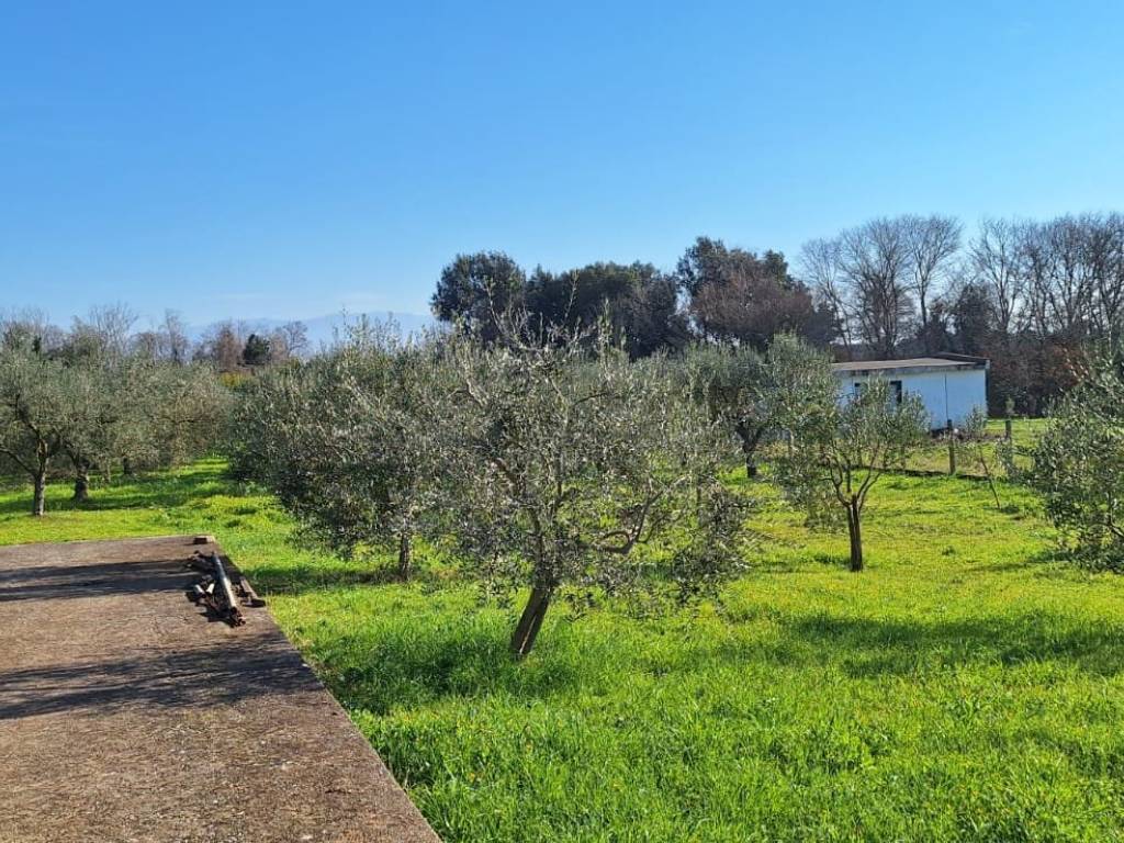 Terreno a Aprilia in Via Giambattista Morgagni - Foto 4