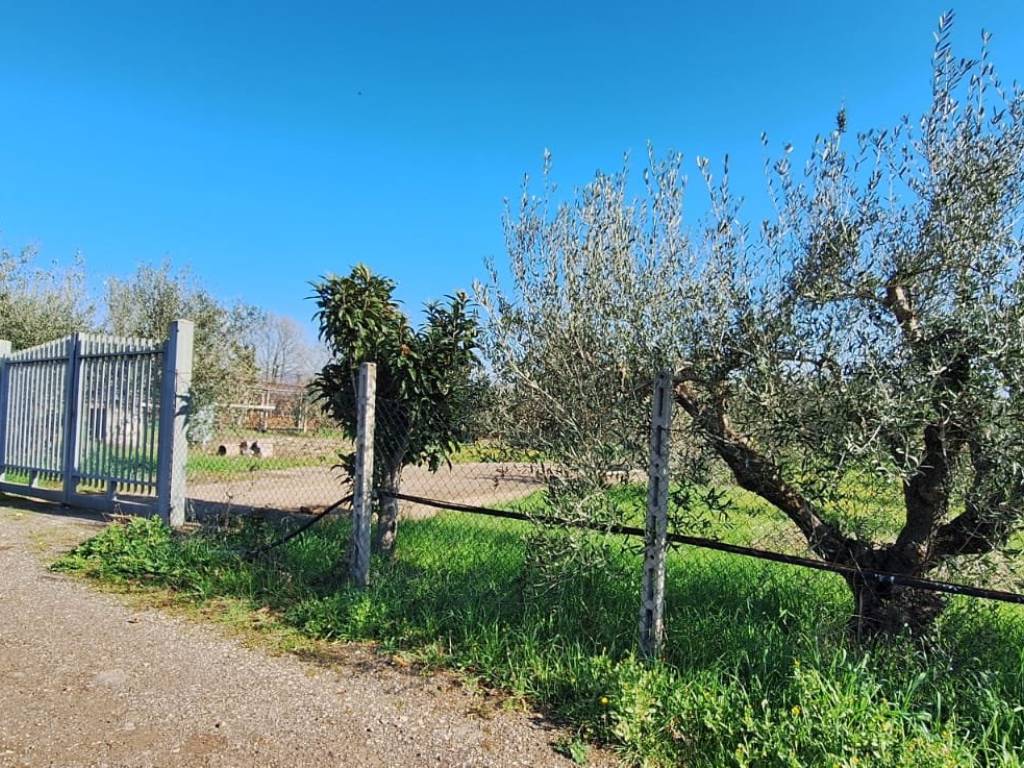Terreno a Aprilia in Via Giambattista Morgagni - Foto 5