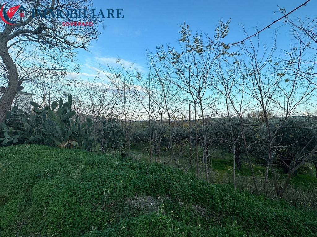 Terreno a Satriano in SP128 - Foto 4
