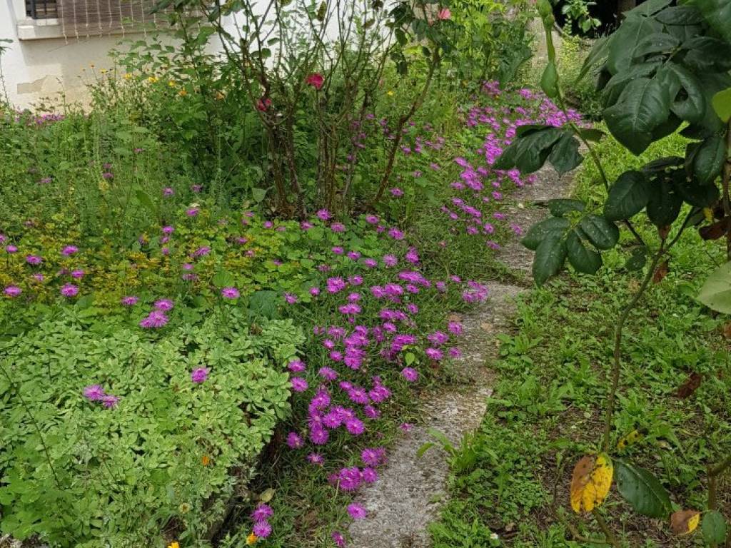 Villa a Mirandola in via Delle Valli - Foto 3