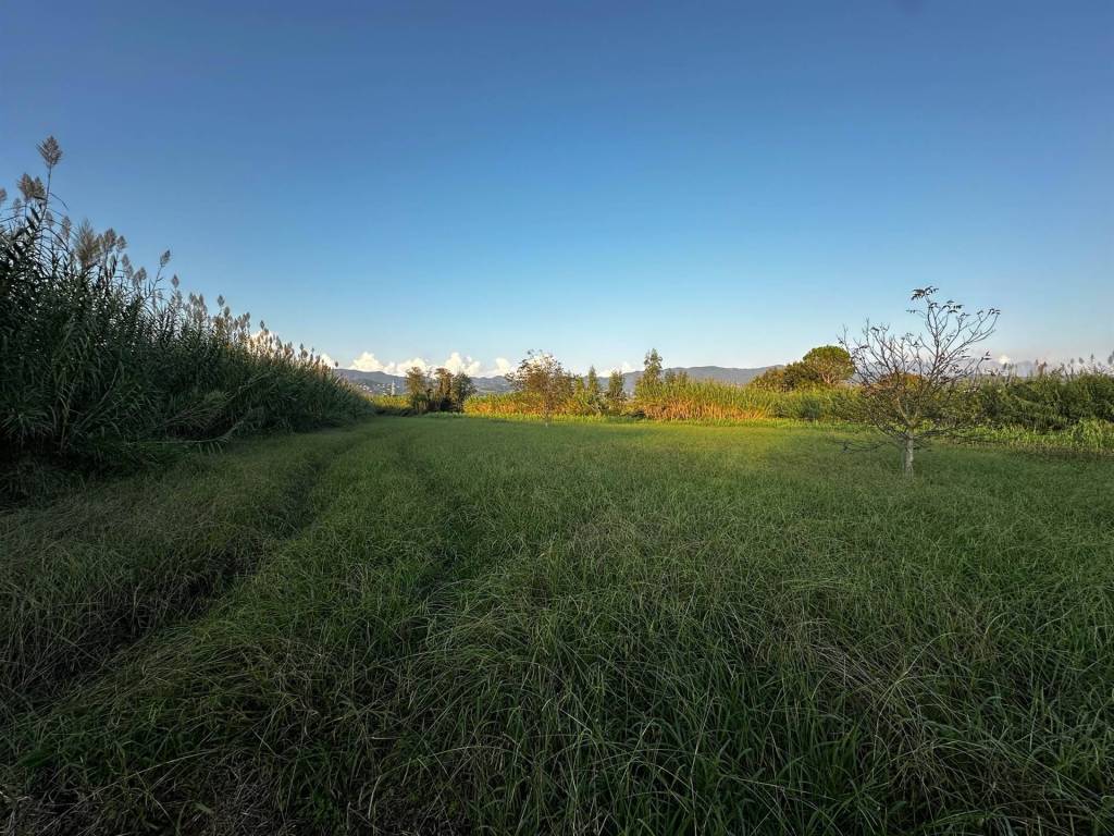 Terreno a Sarzana - Foto 2