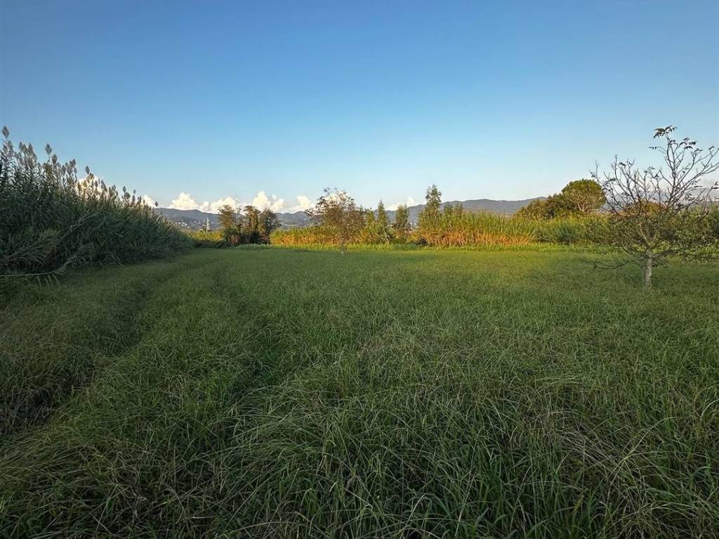 Terreno a Sarzana - Foto 3