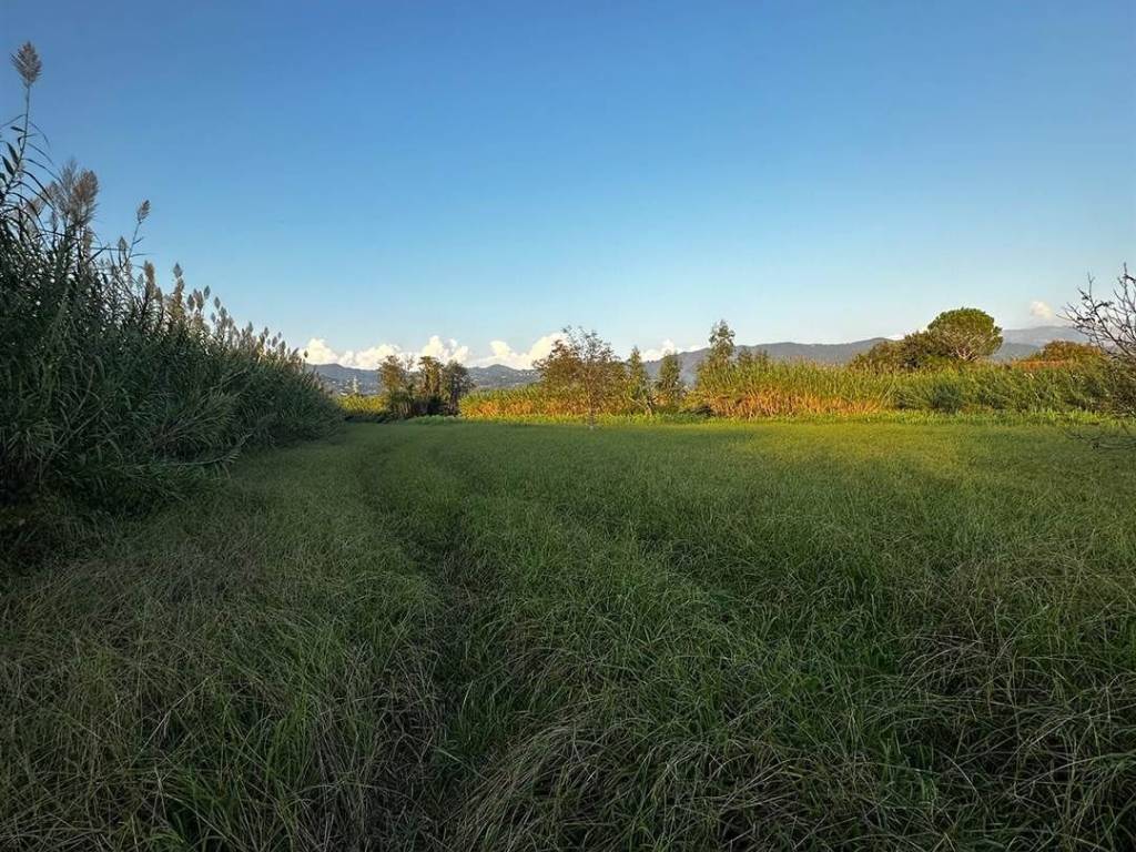 Terreno a Sarzana - Foto 4