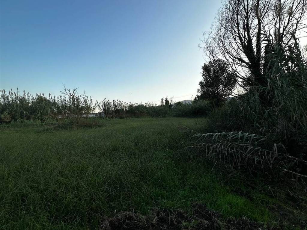 Terreno a Sarzana - Foto 5