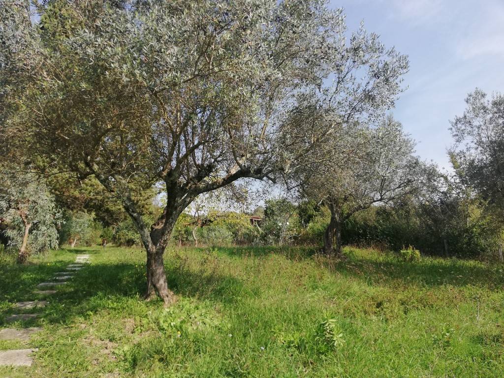 Casa indipendente a Caiazzo in Via Riccetta, 4 - Foto 3