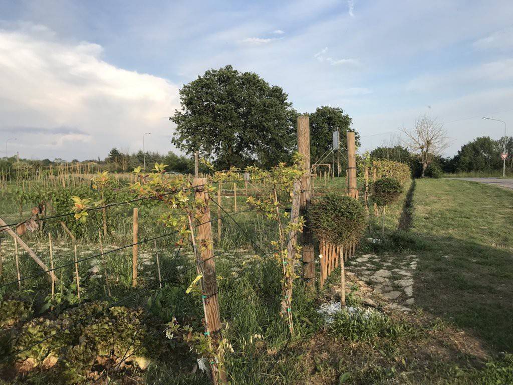 Terreno a Perugia in Via Filippo Gualterio - Foto 4