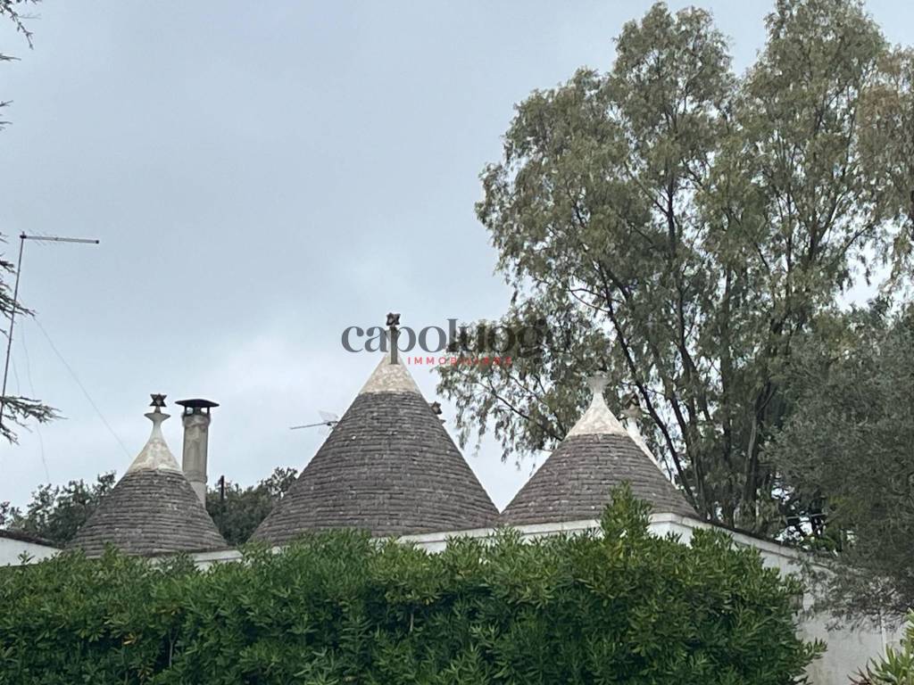Villa a Fasano in Viale Panoramico, 7 - Foto 2