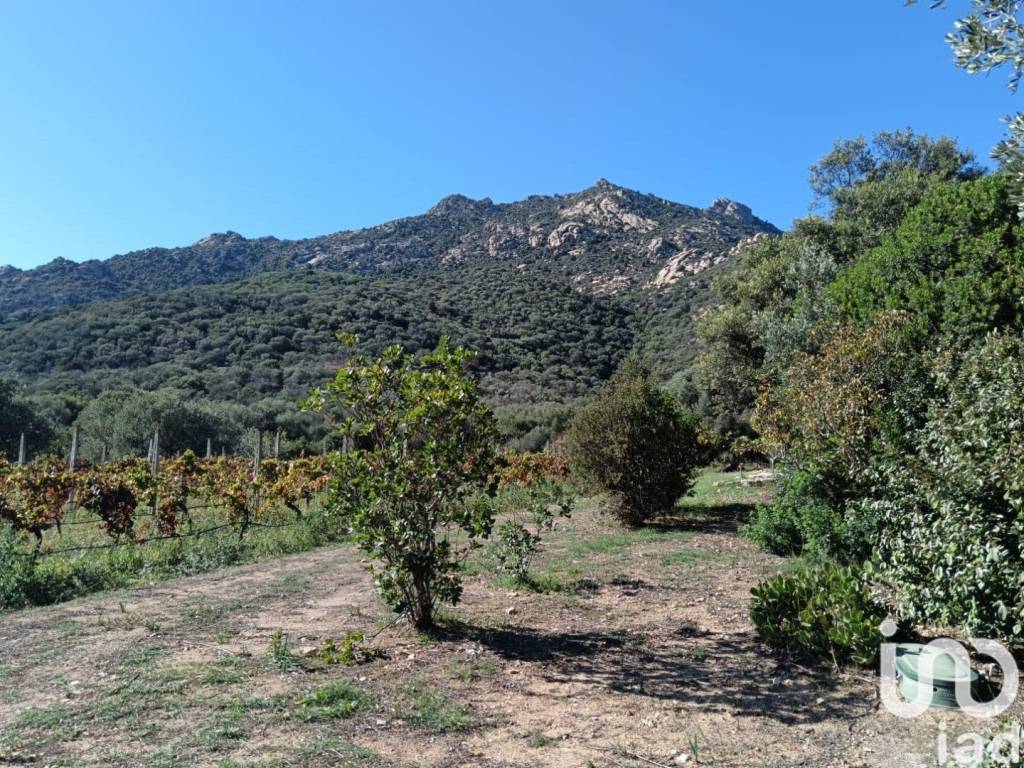 Villa a Olbia in Località Cugnana - Foto 3