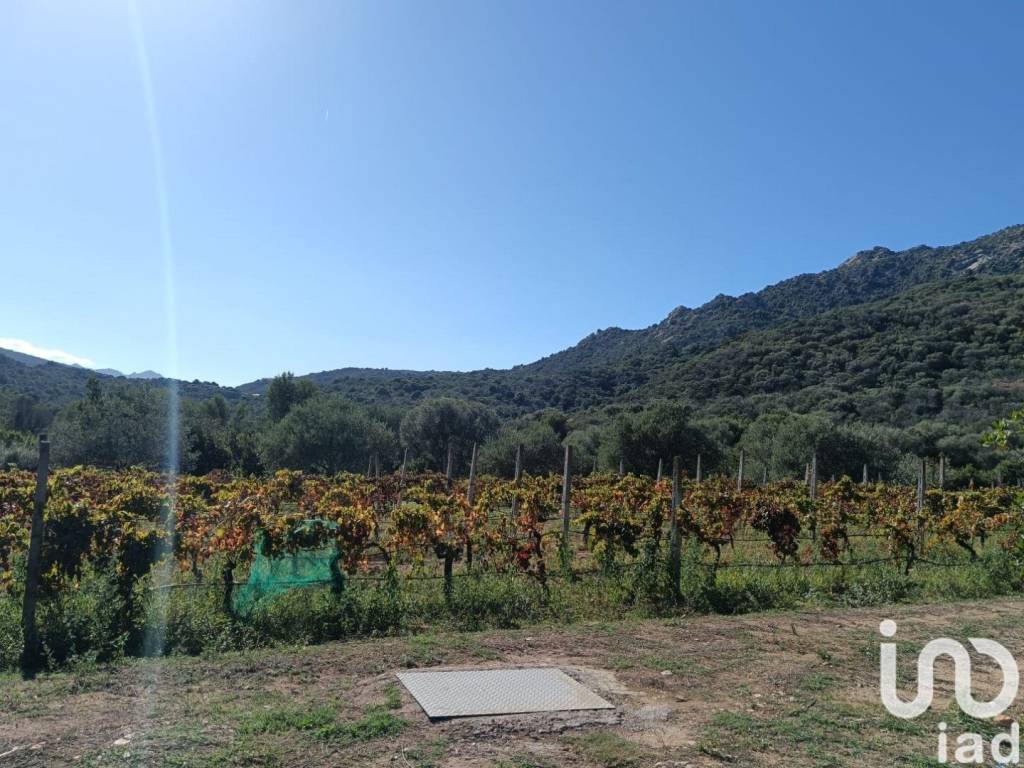 Villa a Olbia in Località Cugnana - Foto 4